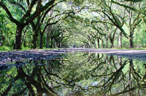 Check spelling or type a new query. Wormsloe Historic Site, Savannah, GA | Historical sites ...