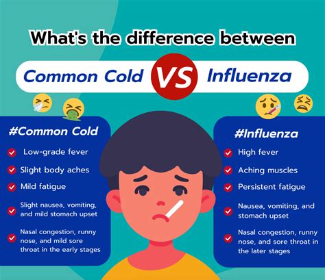 Whats The Difference Between The Flu And The Common Cold Phitsanulok Hospital Tel 055