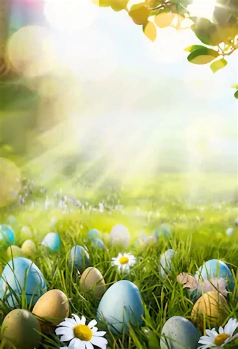 Happy Easter Day Spring Green Grass Easter Eggs Backdrop For Photograp