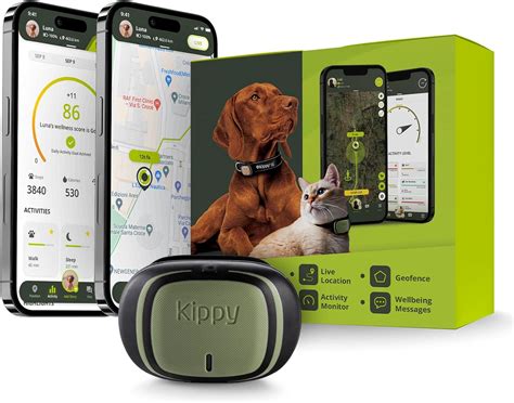 Kippy Evo Innovaci N En Collares Gps Para Perros Y Gatos