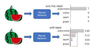 One Hot Encoding And Soft Label Encoding Download Scientific Diagram