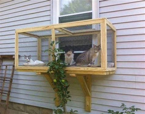 They are made of superior quality, imported raw materials that guarantee a long lifespan. Screened Cat Porches are a great way to keep your kitty ...