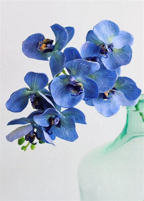 Blue Phalaenopsis Artificial Orchids Spray Heads Real Etsy Blue