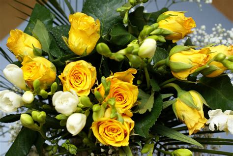 Romantic Flowers Yellow Rose Flower