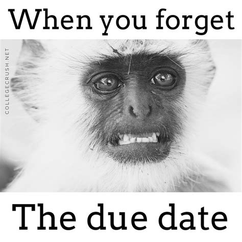 So True When You Forget The Due Date Or Assignment Deadline There Are