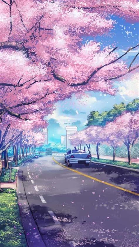Painting Of A Road With Pink Blooming Trees Along Spring Desktop