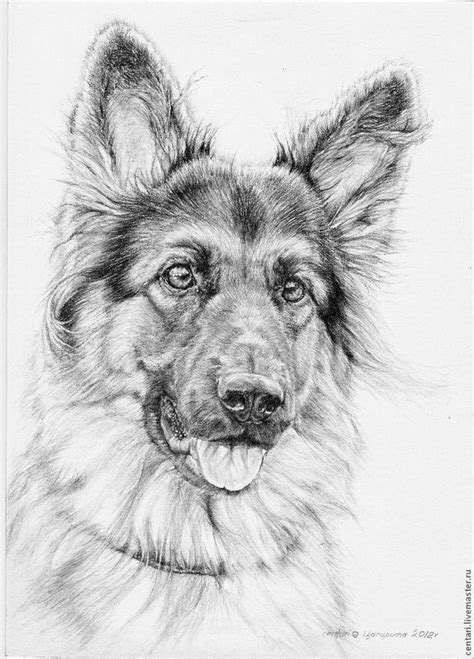 Cute German Shepherd Dog Drawing Animal Drawings Dog Drawing