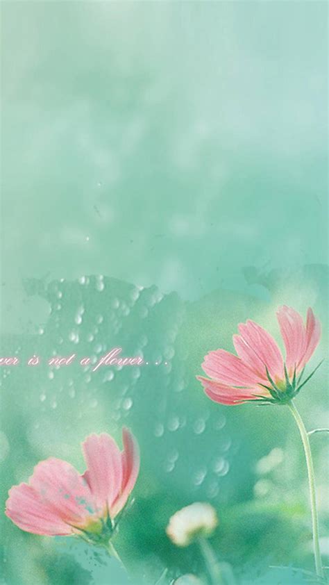Simple floral background design resources · high quality aesthetic backgrounds and wallpapers, vector illustrations, photos, pngs, mockups, templates and art. Simple Flower Wallpapers - Wallpaper Cave