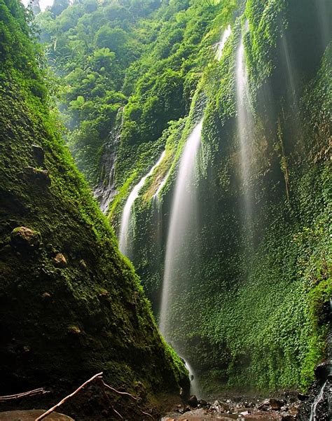 Madakaripura Waterfall An Indonesian Natural Wonder The Curated