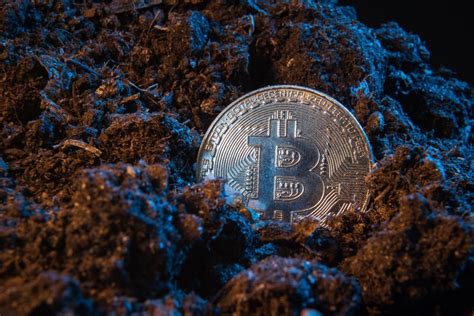 Successfully mining just one bitcoin block, and holding onto it since 2010 would mean you have $450,000 worth of bitcoin in your wallet in 2020. What does the hashrate of cryptocurrency depend on? | by Andrey Costello | All about cloud ...