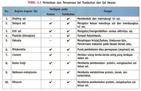 Tabel Perbedaan Sel Hewan Dan Sel Tumbuhan Artikel Materi Riset
