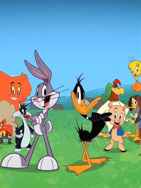 El Show De Looney Tunes Serie Infantil Sincroguia My Xxx Hot Girl