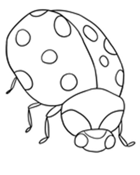 Ladybug coloring pagebug coloring pagesprintable coloring pagessanta templateladybug craftsbug artart drawings for kidsclipart black and whitetips. Ladybug Pictures: Lots of Pictures of Ladybugs and Larvae Too!
