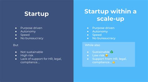 Scale Up Principles For Driving Sustainable Growth Wise Careers