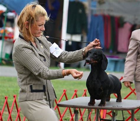 Duquan dukie weems is a fictional character on the hbo drama the wire, played by jermaine crawford. Grand Champ Dukie! | Dachshund, Champs, Dogs