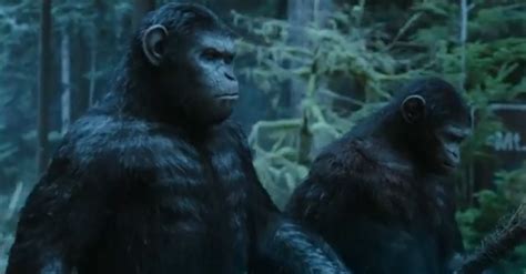 Dawn Of The Planet Of The Apes Trailer Shows Off Simian Society The