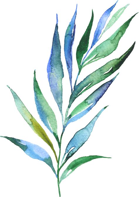watercolour | Watercolor plants, Watercolor flowers paintings, Watercolor illustration