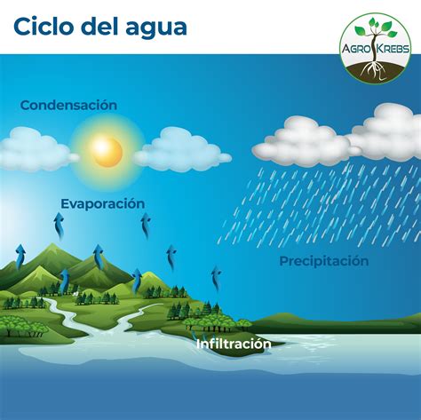 Precipitacion Ciclo Del Agua Dinami
