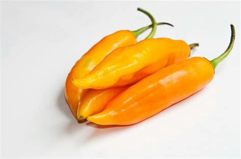 Using Aji Amarillo Thriftyfun