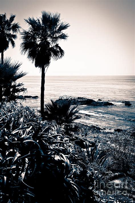Laguna Beach California Black And White Photograph By Paul