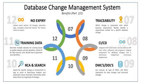 An Effective Database Change Management System