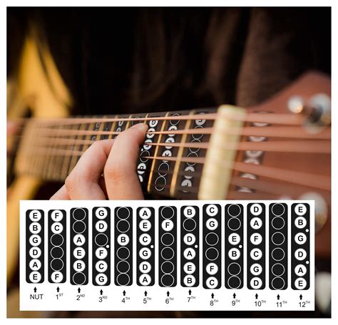 Buy Guitar Fretboard Stickers Vinyl Fingerboard Decals Frets Neck Notes Trainer For Beginner