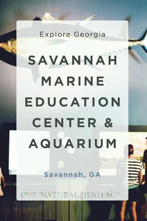 Savannah Marine Education Center And Aquarium Our