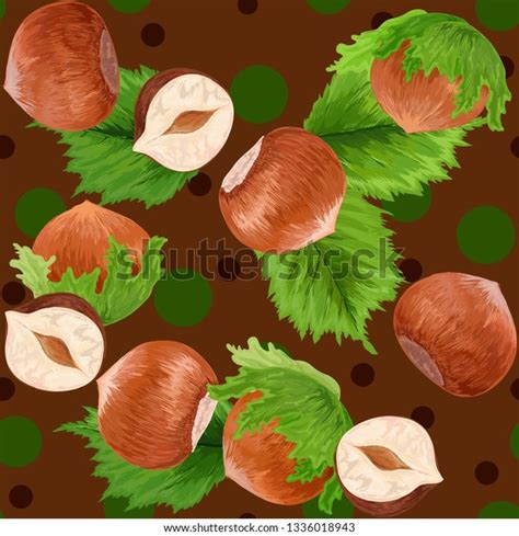Hazelnut Realistic Illustration Hazelnuts Vector Illustration Stock
