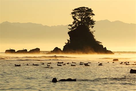 Birds On The Sea Located Amaharashi Coast Takaoka Toya Flickr
