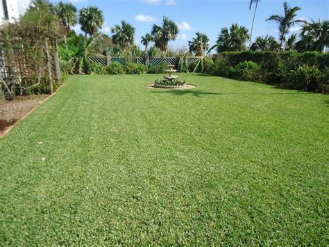 How To Prepare Lawn For Bermuda Seed