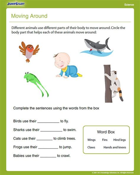 Science Worksheet For First Grade