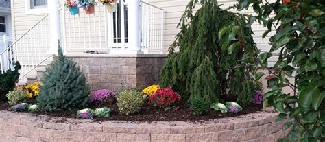 I focal point landscaping has the experience, equipment and crew to create your dream landscape learn more. Specimen Trees and Focal Points - almost PERFECT Landscaping