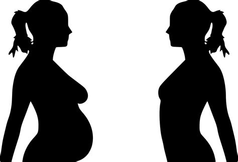 Mujer Vientre Embarazo Silueta Descargar Png Svg Transparente My Xxx
