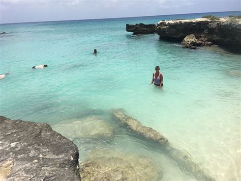 Smith Cove Grand Cayman Cayman Islands Top Tips Before You Go