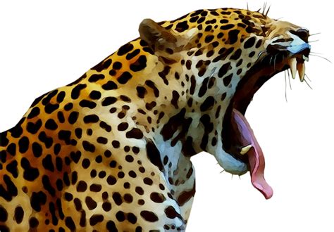 Leopard  Png Free Png And Transparent Images