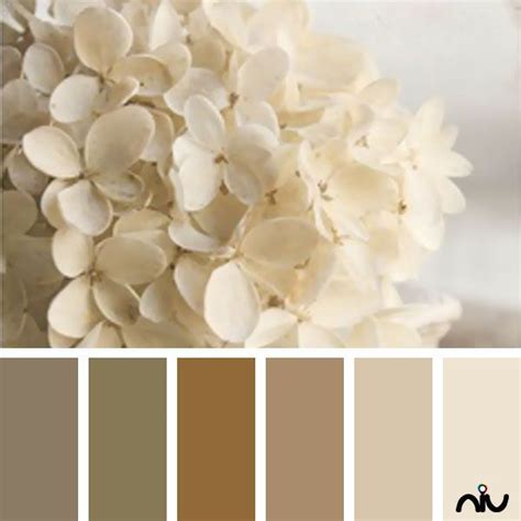 Ivory Color Palette Wedding Color Pallet Brand Color Palette
