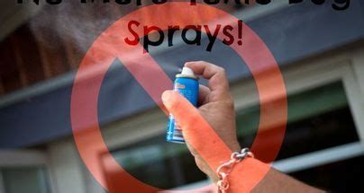 Pest control is something that a lot of us need come summer. bye bye bugs especially mosquitoes a non toxic diy bug spray, pest control | Diy mosquito ...