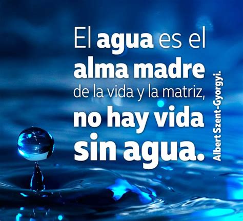 Sintético 95 Foto Frases Del Agua Y La Vida Cena Hermosa