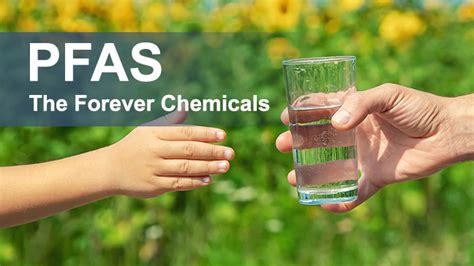 News Testing For Pfas The Forever Chemicals Accustandard
