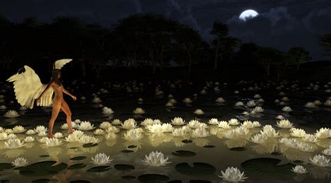 Angel Walking On The Light Path Of Lotus By Lg Nimbus On Deviantart