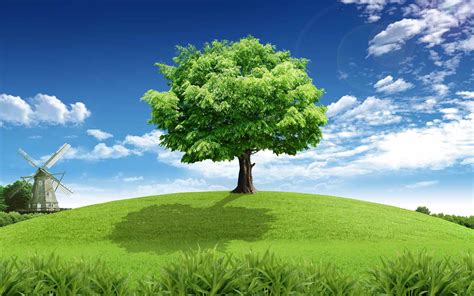 Tree Clouds Grass Hd Wallpapers Wallpaper Cave
