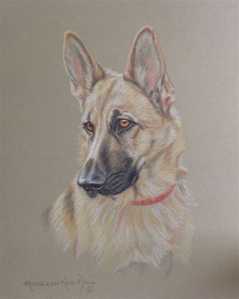 Animal Portraits By Kathleen Keil Hill Dog Drawing Colorful Dog Art