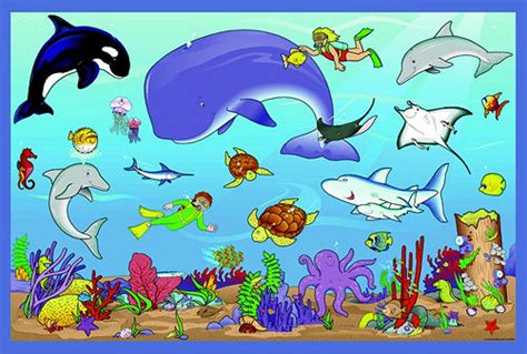 Miss Turcis First Grade Blog What Is Your Favorite Ocean Animal