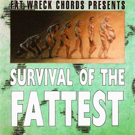 Fat Music Vol Ii Survival Of The Fattest Fat Wreck Chords
