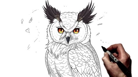 How To Draw A Great Horned Owl Step By Step Youtube