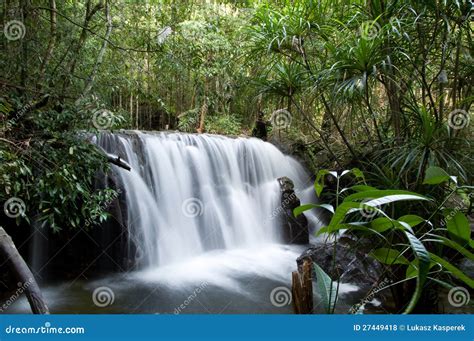 Waterfall In Rainforest Stock Photo Image Of Botany 27449418
