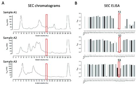Size Exclusion Chromatography As A Second Step For The Purification Of