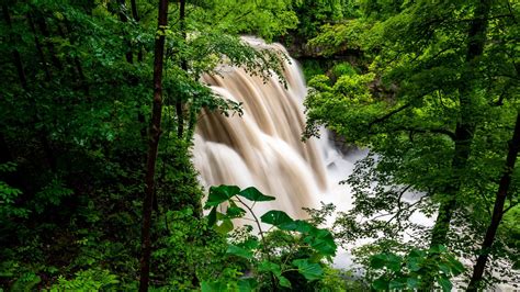 Waterfall Forest Trees Bushes Greens Picture Photo Desktop
