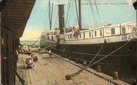 Loading Cotton Upon Ocean Steamer Galveston Tx Postcard
