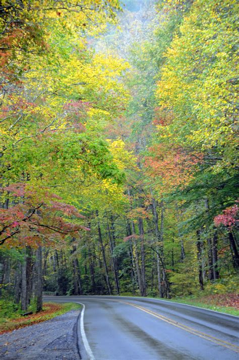 A scenic drive along Newfound Gap Road (U.S. 441) in the North Carolina